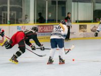 DSC02430-1250