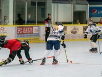 DSC02431-1250