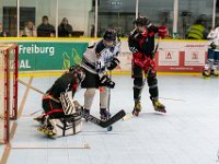 DSC02434-1250