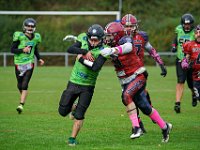 DSC00993-1500