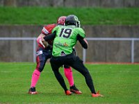 DSC01061-1500
