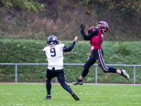 Topaz-AA101726-denoise-sharpen 1920