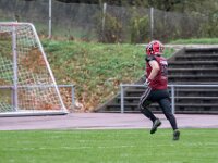 Topaz-AA102052-denoise-sharpen 1920