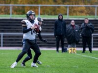 Topaz-AA102102-denoise-sharpen 1920