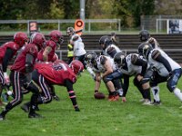 Topaz-AA102477-denoise-sharpen 1920