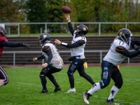 Topaz-AA102479-denoise-sharpen 1920