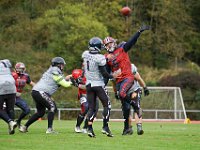 029-DSC01217-1500
