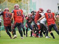 122-DSC01337-1500