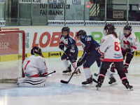 DSC00739-1250