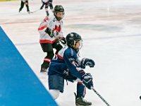 DSC06709-1000