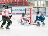 DSC06726-1000
