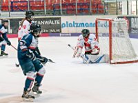 DSC06728-1000