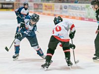 DSC06733-1000
