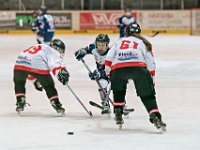 DSC06767-1000