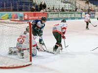 DSC06775-1000