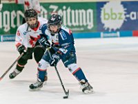 DSC06782-1000