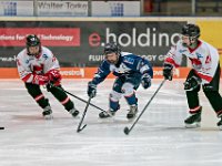 DSC06800-1000