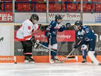 DSC06828-1000
