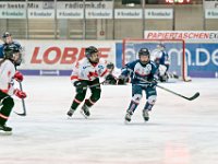 DSC06842-1000