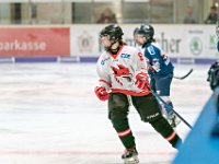 DSC06844-1000