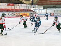 DSC06847-1000