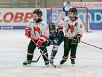 DSC06850-1000