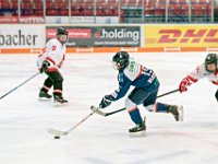 DSC06854-1000