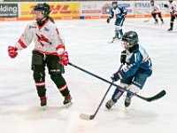 DSC06857-1000