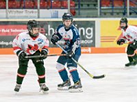 DSC06860-1000