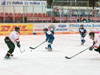 DSC06866-1000
