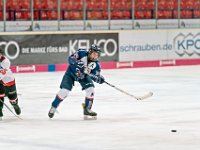 DSC06876-1000