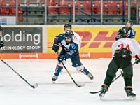 DSC06883-1000