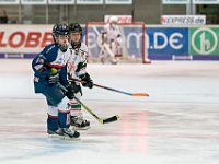 DSC02227 1000 jpg