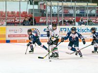 DSC02277 1000 jpg