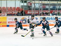 DSC02278 1000 jpg