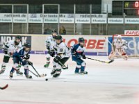 DSC02319 1000 jpg