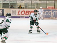 DSC02370 1000 jpg