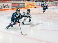 DSC02402 1000 jpg