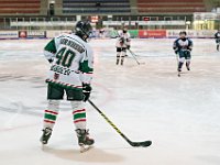 DSC02409 1000 jpg