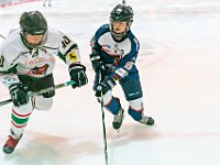 DSC02411 1000 jpg