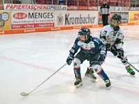 DSC02418 1000 jpg
