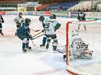 DSC02426 1000 jpg