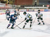 DSC02438 1000 jpg
