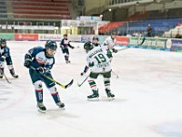 DSC02444 1000 jpg