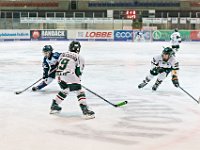 DSC02450 1000 jpg