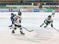 DSC02451 1000 jpg