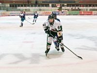 DSC02472 1000 jpg