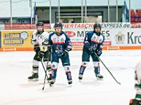 DSC02479 1000 jpg