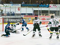 DSC02483 1000 jpg