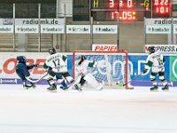 DSC02510 1000 jpg